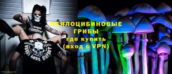круглые Алексеевка